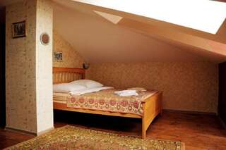 Гостиница Гостиница Шинель Нижний Новгород Бюджетный двухместный номер с 1 кроватью в мансарде-6